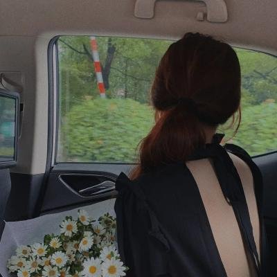 少年斯派维的奇异旅行