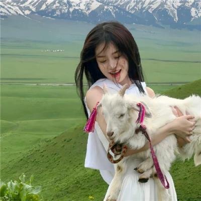 超人与蝙蝠侠:全民公敌